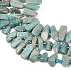 Natural Amazonite Beads Strands X-G-P619-A04-01-4
