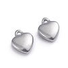 Non-Tarnish 304 Stainless Steel Charms STAS-G236-01P-B-2