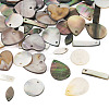 50Pcs 5 Styles Natural Black Lip Shell & Freshwater Pendants SHEL-TA0001-22-3