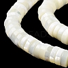 Natural Trochus Shell Beads Strands BSHE-E030-04-4