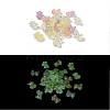 UV Plating Luminous Rainbow Iridescent Acrylic Beads LACR-R001-01A-1