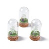 Natural Quartz Crystal Mushroom Display Decoration with Glass Dome Cloche Cover G-E588-03I-1
