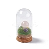 Natural Rose Quartz Mushroom Display Decoration with Glass Dome Cloche Cover G-E588-03J-2