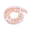 Natural Cultured Freshwater Pearl Beads Strands PEAR-L021-19A-01-3