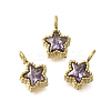 304 Stainless Steel Micro Pave Cubic Zirconia Charms STAS-U027-02G-03-1