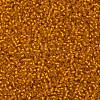 TOHO Round Seed Beads X-SEED-TR11-0030F-2