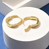 Brass Cubic Zirconia Hoop Earrings EJEW-M048-07G-3