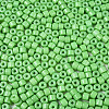 Opaque Baking Paint Glass Seed Beads SEED-T008-02Q-3