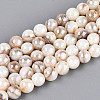 AB Color Natural Freshwater Shell Beads Strands X-BSHE-T014-40B-1