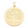 Rack Plating Alloy Big Pendants FIND-N005-42G-1