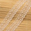 Lace Trim Nylon Ribbon for Jewelry Making ORIB-F001-47-1