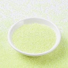 MIYUKI Round Rocailles Beads SEED-G007-RR0267-2