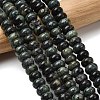 Natural Kambaba Jasper Beads Strands G-A280-A28-02-1