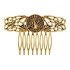 Alloy Hair Combs PW-WG702E2-01-1