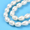 Natural Cultured Freshwater Pearl Beads Strands PEAR-N012-05Z-01-4