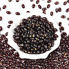 Oval Glass Seed Beads SEED-T009-02J-1