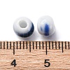 Bright Glazed Porcelain Beads PORC-D300-A07-2