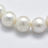 Natural Cultured Freshwater Pearl Beads Strands PEAR-K003-13A-01-3