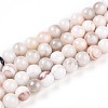 Natural Persian Jade Beads Strands G-A255-A02-01K-4