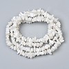 Natural White Moonstone Beads Strands X-G-P332-01-5