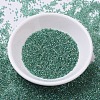 MIYUKI Delica Beads SEED-J020-DB0060-3