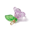 Acrylic Charms PALLOY-JF03079-5
