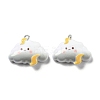 Weather Theme Opaque Resin Pendants LS-RESI-R444-01B-1