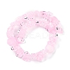 Transparent Glass Enamel Beads Strands GLAA-B021-05I-2