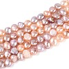 Natural Cultured Freshwater Pearl Beads Strands PEAR-T006-23-2
