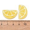 Fruit Theme Opaque Resin Imitation Food Cabochons RE-CBA49A8-03F-3