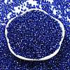 Glass Seed Beads SEED-S042-04A-14-2