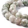 Natural Peace Jade Beads Strands X-G-G905-07-6MM-4