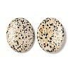 Natural Dalmatian Jasper Worry Stone for Anxiety Therapy G-B036-01J-2