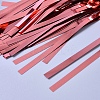 Plastic Fringe Curtains DIY-WH0157-03-2