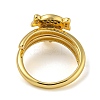 Girl Brass Micro Pave Clear Cubic Zirconia Double Rings RJEW-Z050-22G-4