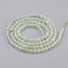 Natural Prehnite Beads Strands G-F568-121-3mm-2