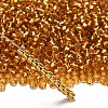 TOHO 6/0 Round Beads X-SEED-TR06-0022B-2