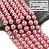 Eco-Friendly Dyed Glass Pearl Round Beads Strands HY-A002-10mm-RB109-4