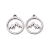 Non-Tarnish 201 Stainless Steel Charms LS-STAS-G281-01P-02-1