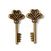 Tibetan Style Alloy Pendants LS-TIBEP-16487-AB-FF-1