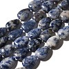 Natural Blue Spot Jasper Beads Strands G-I377-A12-2