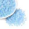 FGB Frosted Transparent Glass Seed Beads SEED-N013-06A-11-1