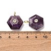 Natural Amethyst Pendants G-P588-02G-07-3