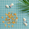 24Pcs 12 Style 304 Stainless Steel Stud Earring Findings STAS-FH0001-76-4