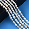 Natural Cultured Freshwater Pearl Beads Strands X1-PEAR-N012-03D-6