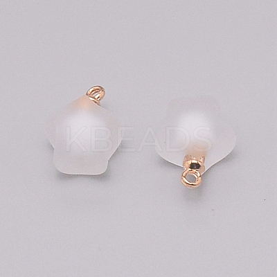 Resin Frosted Pendants MP-TAC0009-03G-1