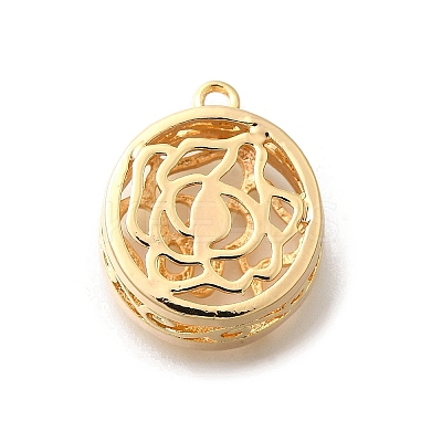 Brass Pendants KK-E792-06G-1