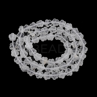 Natural Quartz Crystal Beads Strands G-B138-C21-01-1