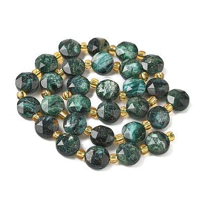 Natural Fuchsite Beads Strands G-G271-C03-10mm-1