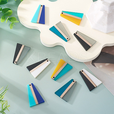 10Pcs 5 Colors Resin & Wood Pendants RESI-TA0004-50-1